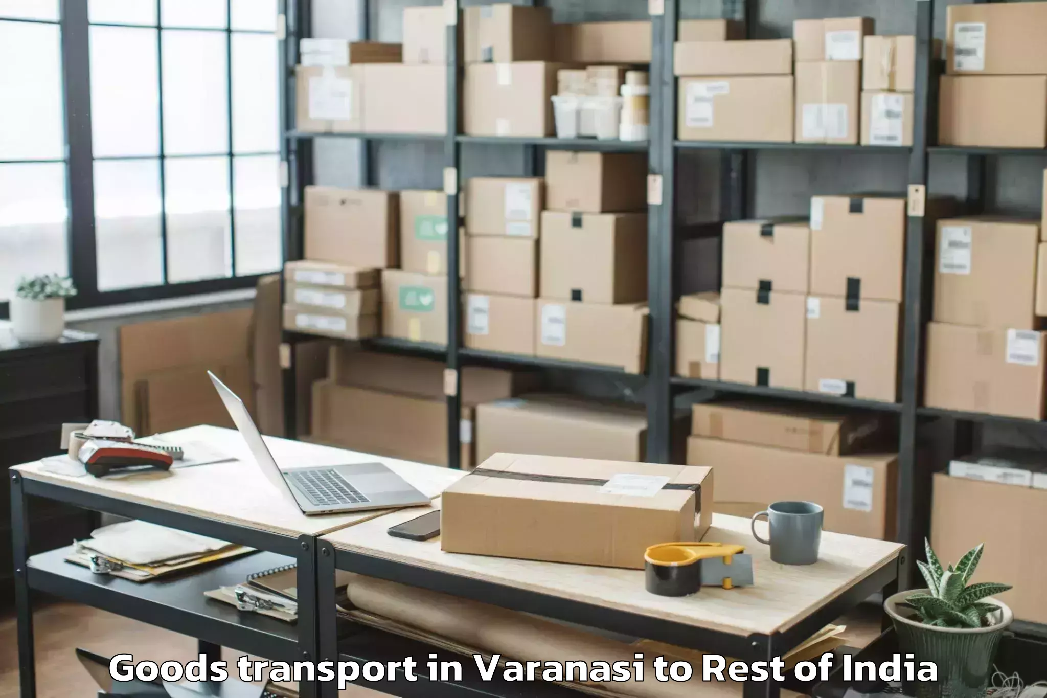 Hassle-Free Varanasi to Bishnah Goods Transport